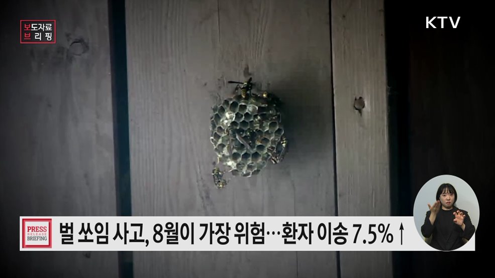 여름철 '벌' 출동 3년 새 54%↑···8월이 가장 위험