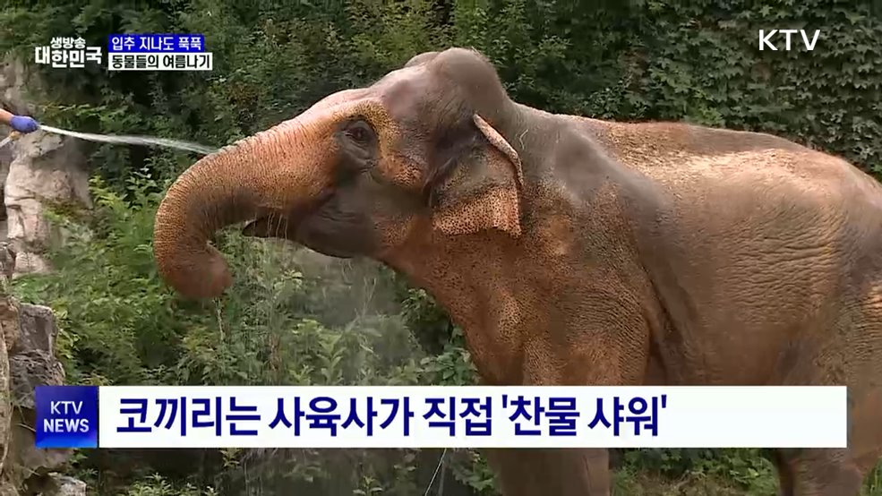 얼음 간식에, 찬물 샤워···동물들의 막바지 여름나기
