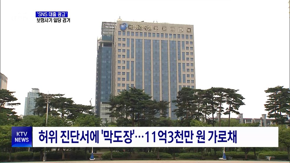 'SNS 대출 광고' 보험사기 32명 검거