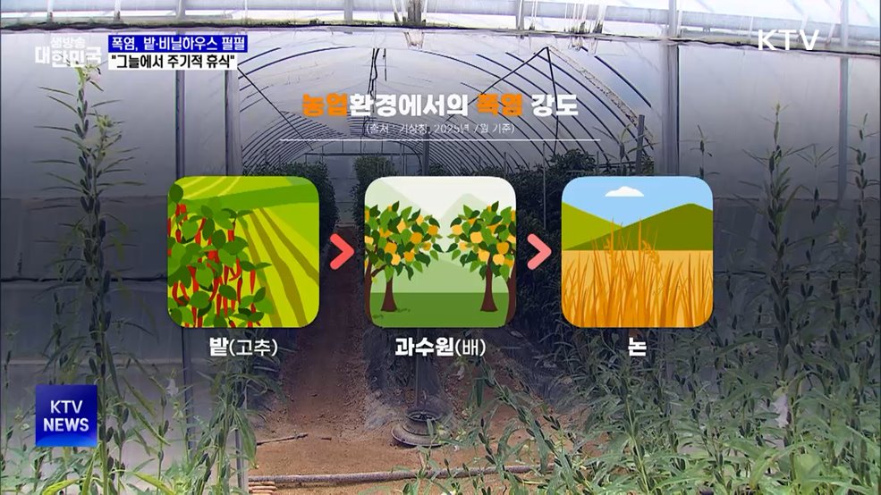 폭염 밭·비닐하우스 더 뜨거워···"그늘에서 휴식해야"