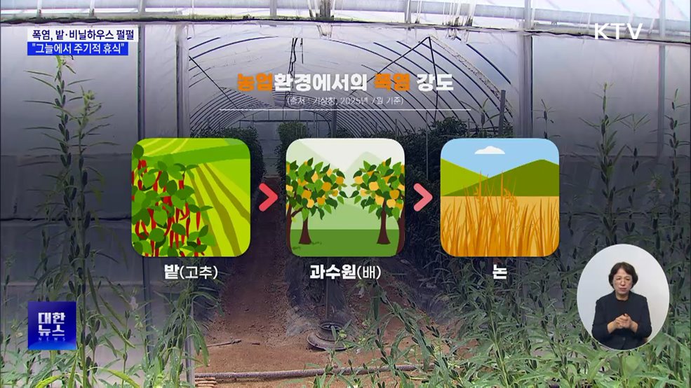 폭염 밭·비닐하우스 더 뜨거워···"그늘에서 휴식해야"