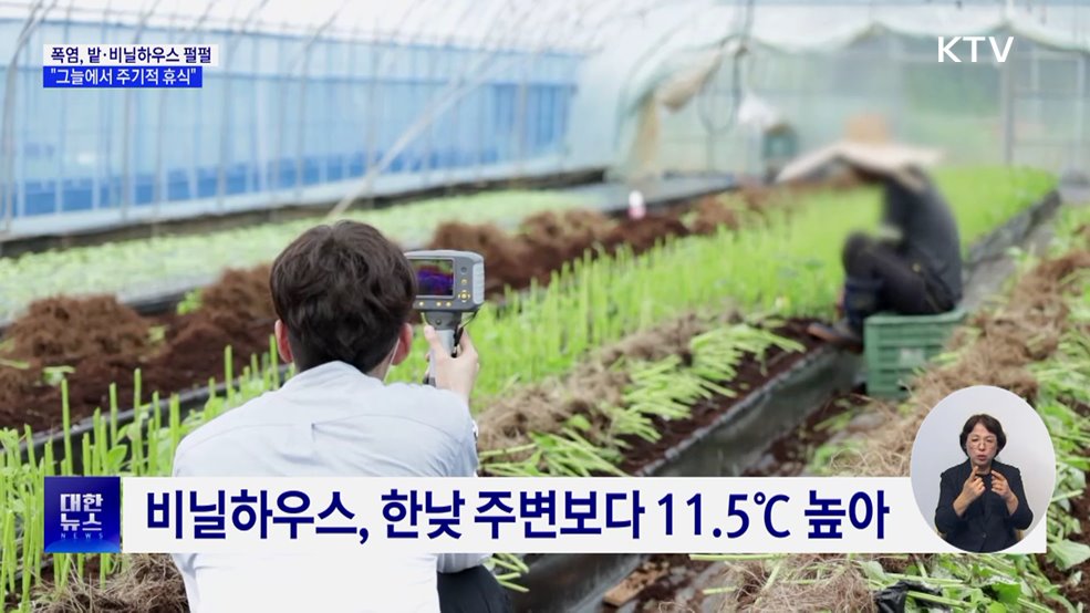 폭염 밭·비닐하우스 더 뜨거워···"그늘에서 휴식해야"