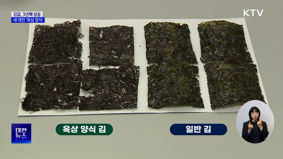 '김 육상 양식', 기후변화의 새로운 대안