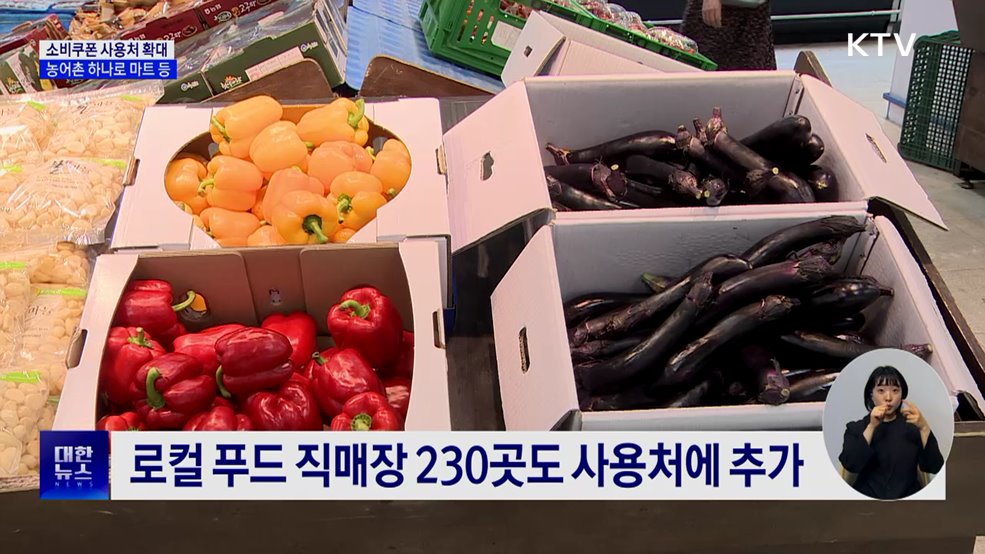 '소비쿠폰' 농어촌 하나로마트·군 복무지서도 사용 가능