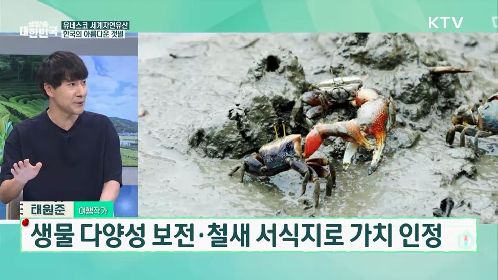 자연이 만든 세계유산 국내 아름다운 해수욕장 추천 [여행을 떠나요]