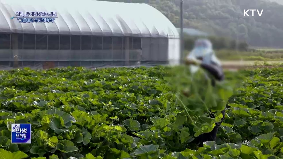 폭염 밭·비닐하우스 더 뜨거워···"그늘에서 휴식해야"