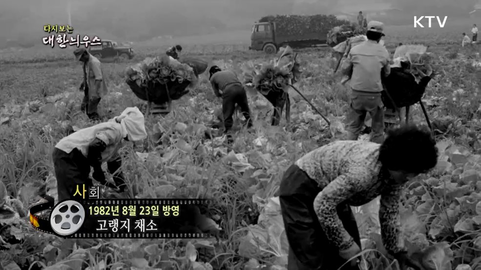 다시보는 대한늬우스 (82. 8. 23.)