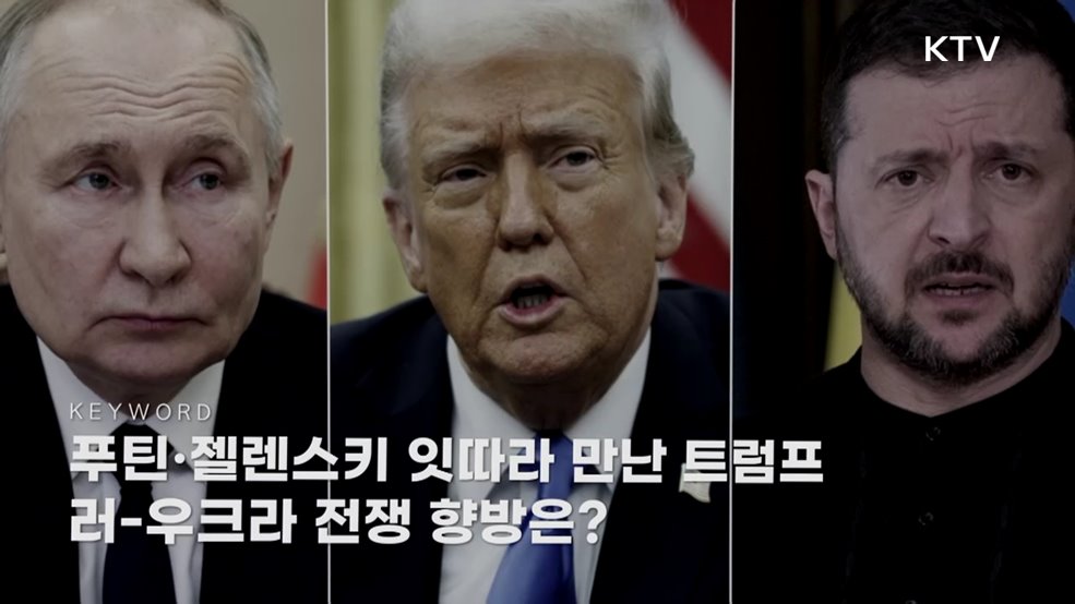 주간 글로벌 인사이트 (49회)