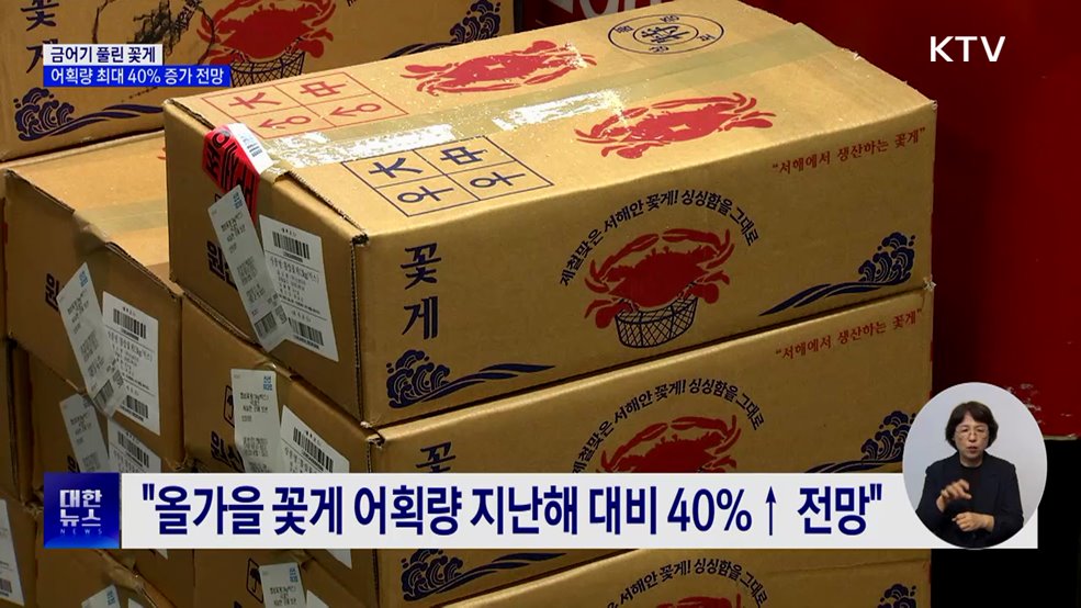 금어기 풀린 꽃게···올가을 어획량 최대 40% 증가 전망