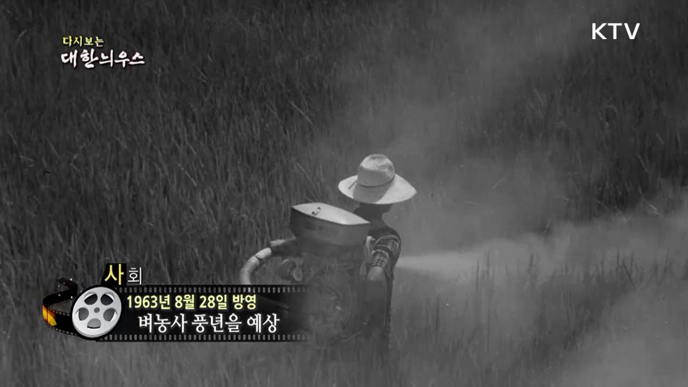 다시보는 대한늬우스 (63. 8. 28.)