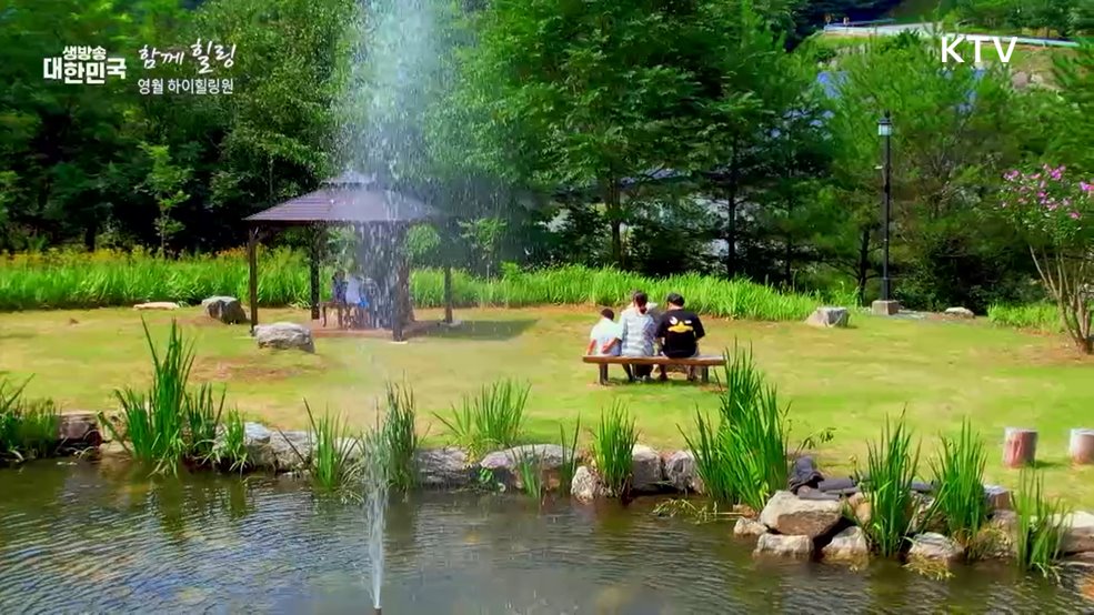 영월 하이힐링원 [함께 힐링]