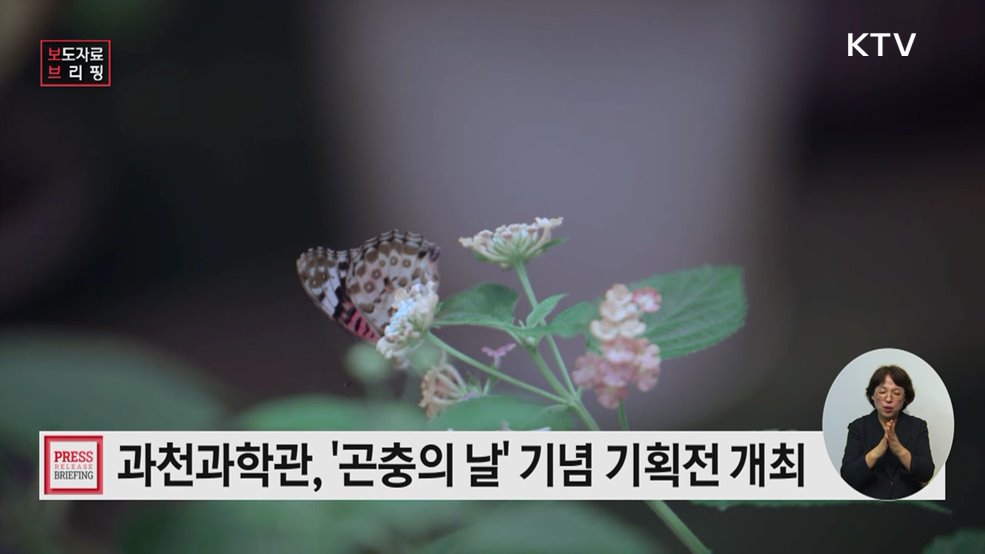 국립과천과학관, 곤충의 날 기념 기획전 개최