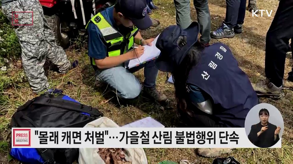 가을철 산림 내 불법행위 집중 단속한다