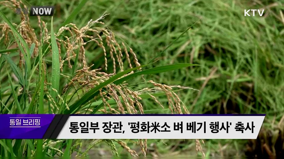 통일부 장관, '평화米소 벼 베기 행사' 축사