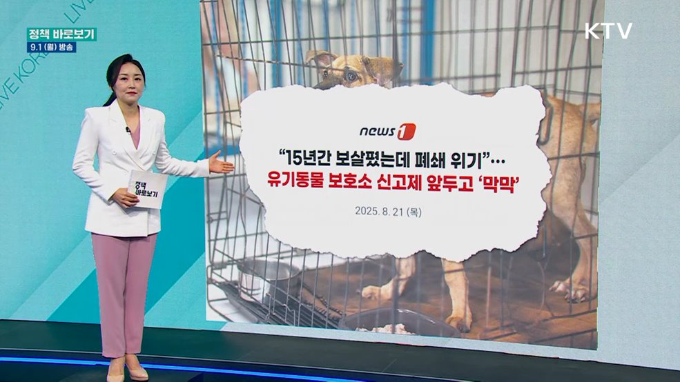농식품부 "민간동물보호시설 정상화 위해 지속 지원"