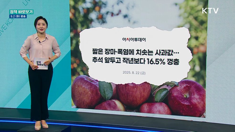 "햇사과 출하량 확대···사과 공급 안정세, 추석 성수기에도 충분"