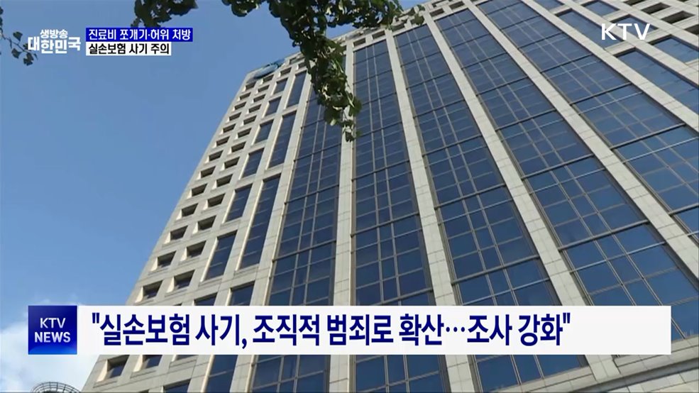 '진료비 쪼개기·허위 처방'···실손보험 사기 주의