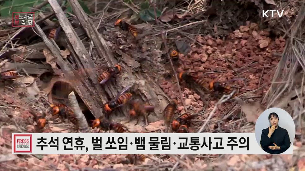 벌 쏘임, 뱀 물림, 예초기 사고 등 "추석 연휴 앞두고 안전사고 조심해야"