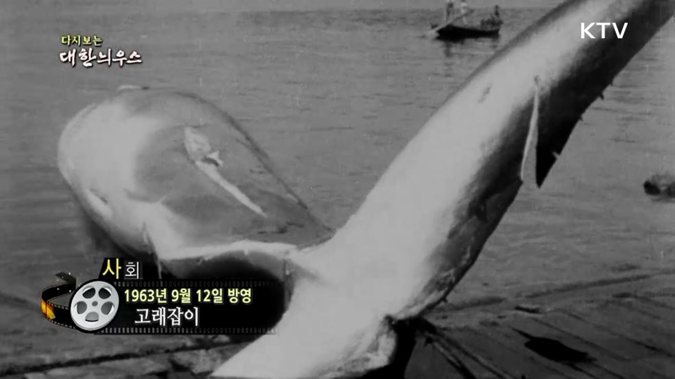 다시보는 대한늬우스 (63. 9. 12.)