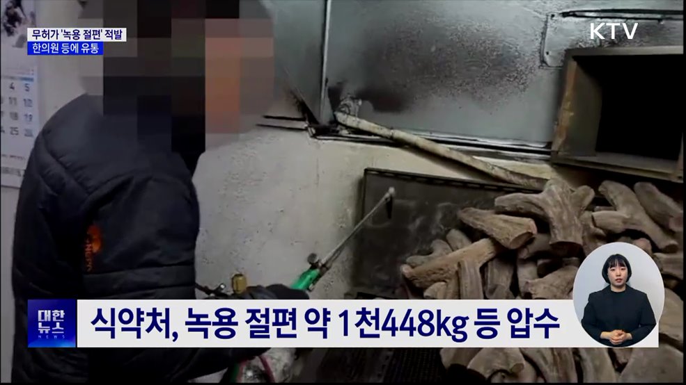 '녹용 절편' 무허가 제조 적발···한의원 등에 유통