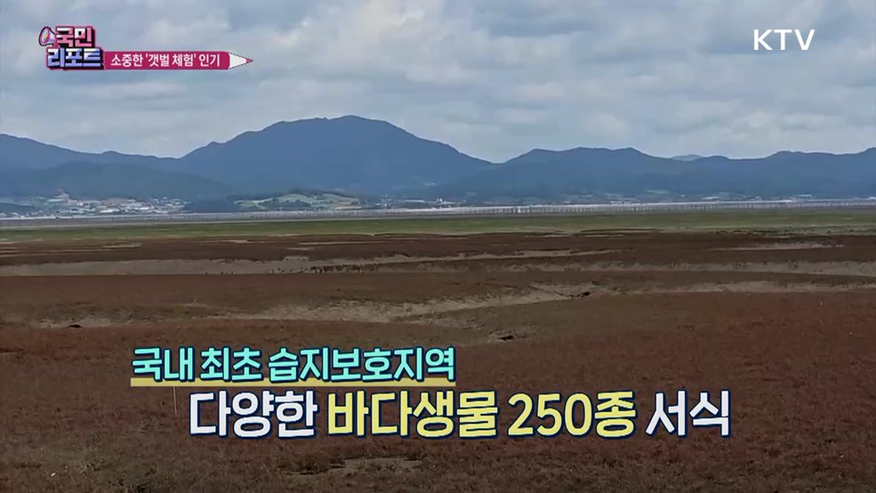 자연의 소중함 일깨운 무안 '갯벌 축제' 관심