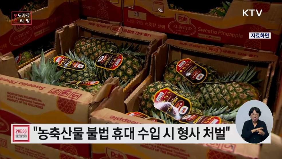 농축산물 불법 휴대 수입 시 형사 처벌로 엄정대응