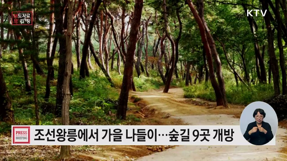 조선왕릉 가을 숲길 걷는 치유의 시간