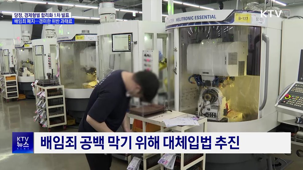 당정, 형법상 배임죄 폐지 가닥···경미한 위반 '과태료'