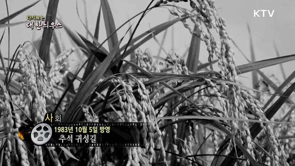 다시보는 대한늬우스 (83. 10. 5.)