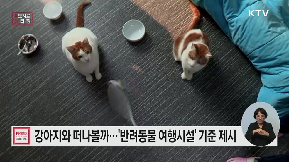 '반려동물 동반여행 친화시설 조성 가이드라인' 발간