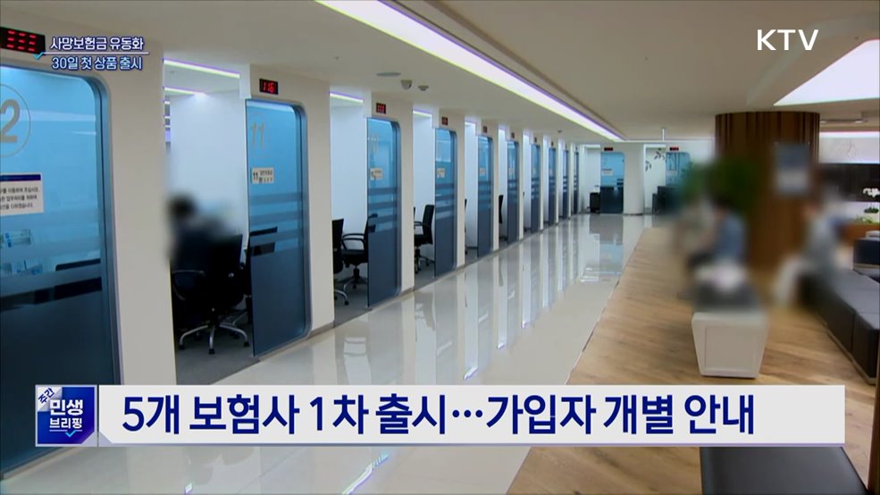 사망보험금을 연금처럼···30일 첫 상품 출시