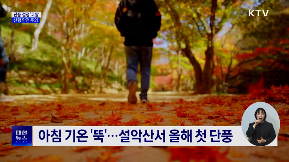 가을 산행 성수기···안전 사고 '주의'