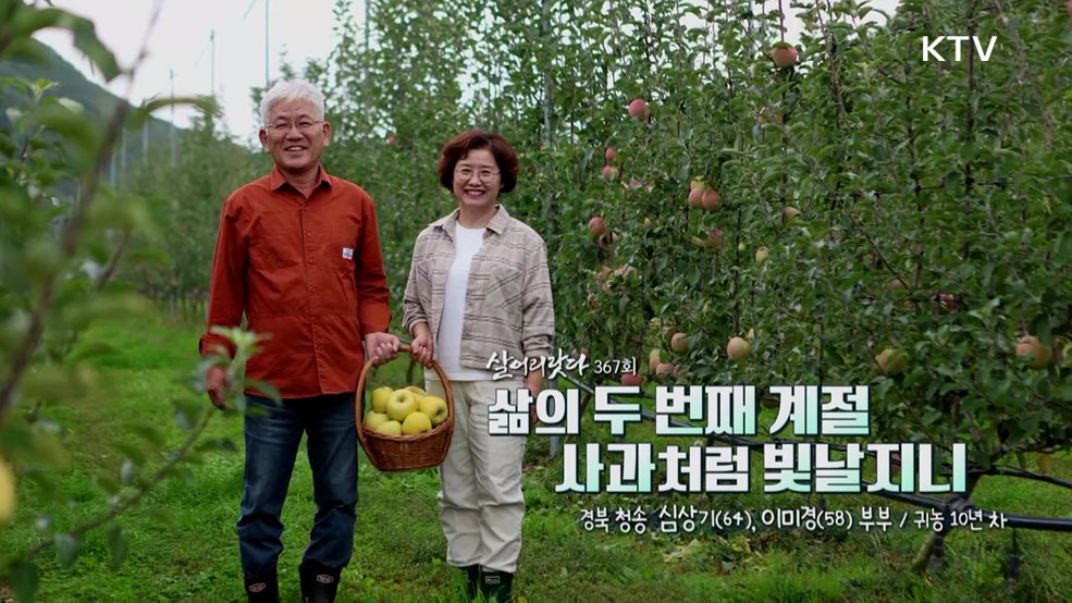 삶의 두 번째 계절 사과처럼 빛날지니