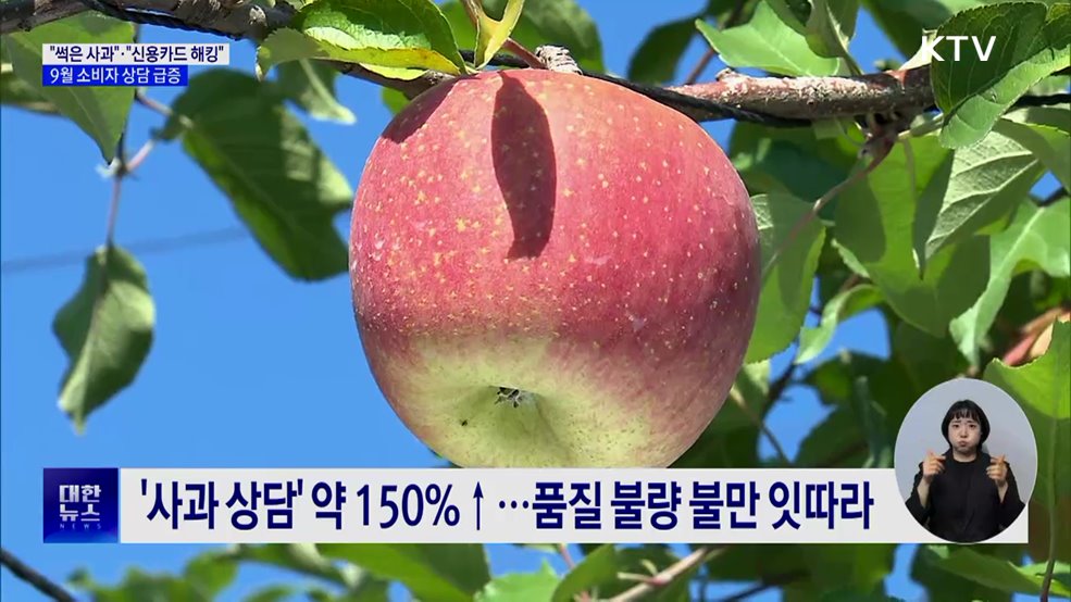 "썩은 사과"·"신용카드 해킹"···9월 소비자 상담 급증