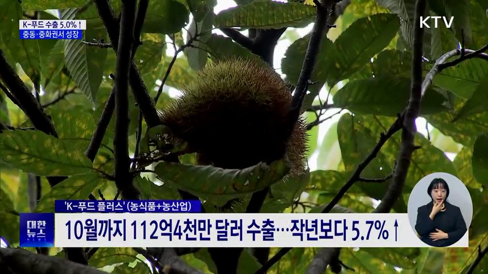 1~10월 K-푸드 수출 5%↑···중동·중화권 큰 성장