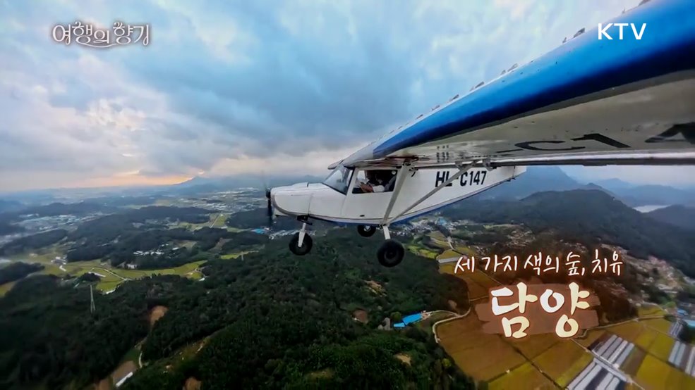 세 가지 색의 숲, 치유 '담양'