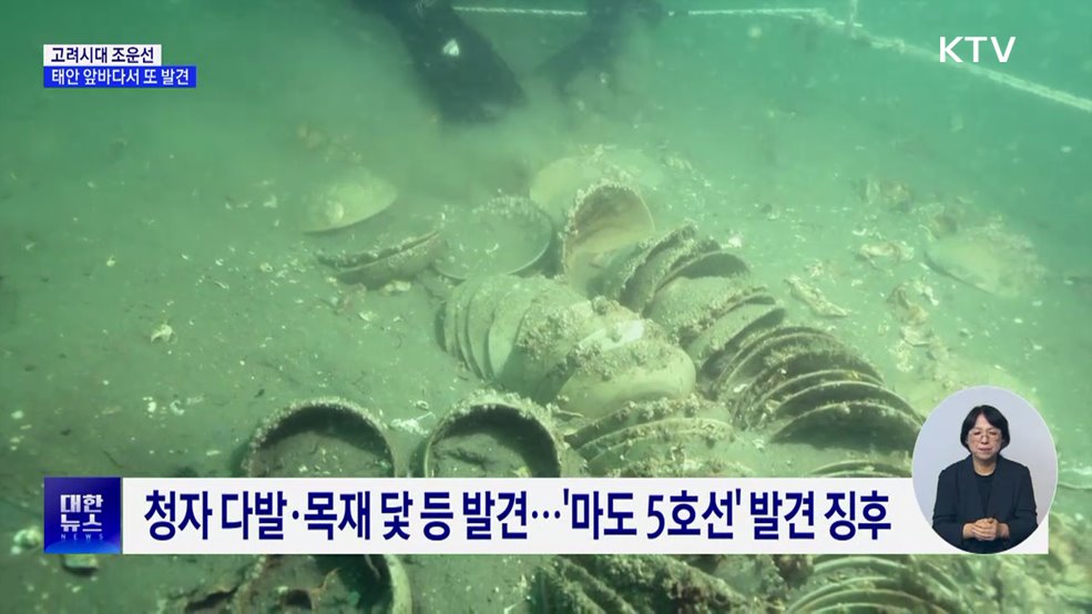 태안에서 또 '난파선 흔적'···내년 본격 발굴