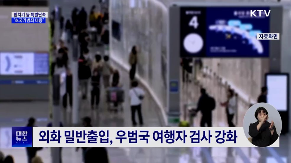 관세청, 환치기 등 특별단속···"초국가범죄 대응"