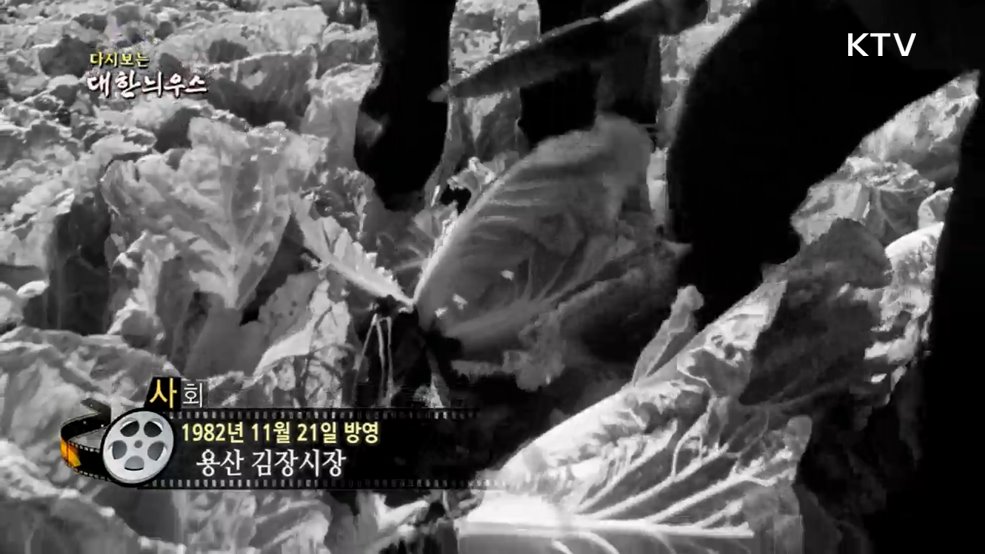 다시보는 대한늬우스 (82. 11. 21.)