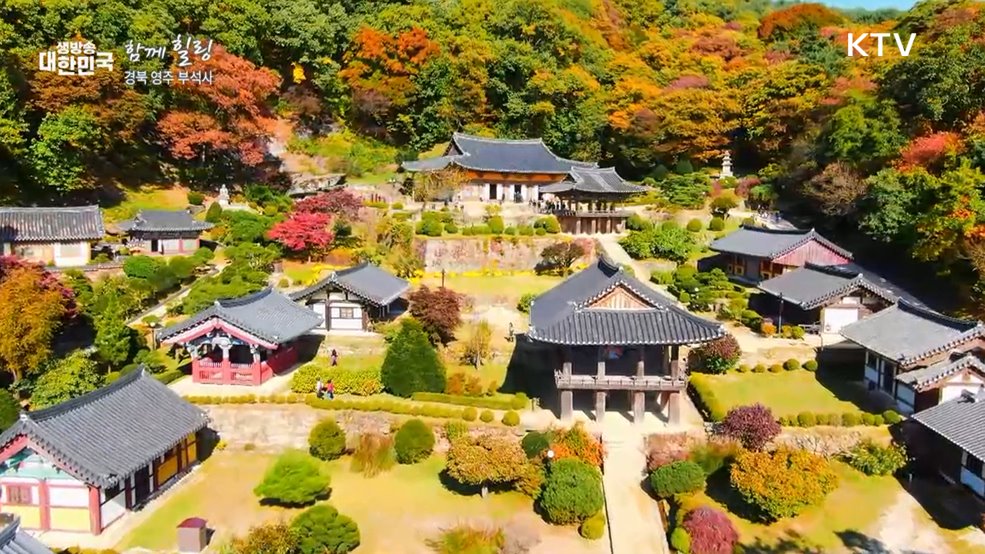 경북 영주 부석사 [함께 힐링]