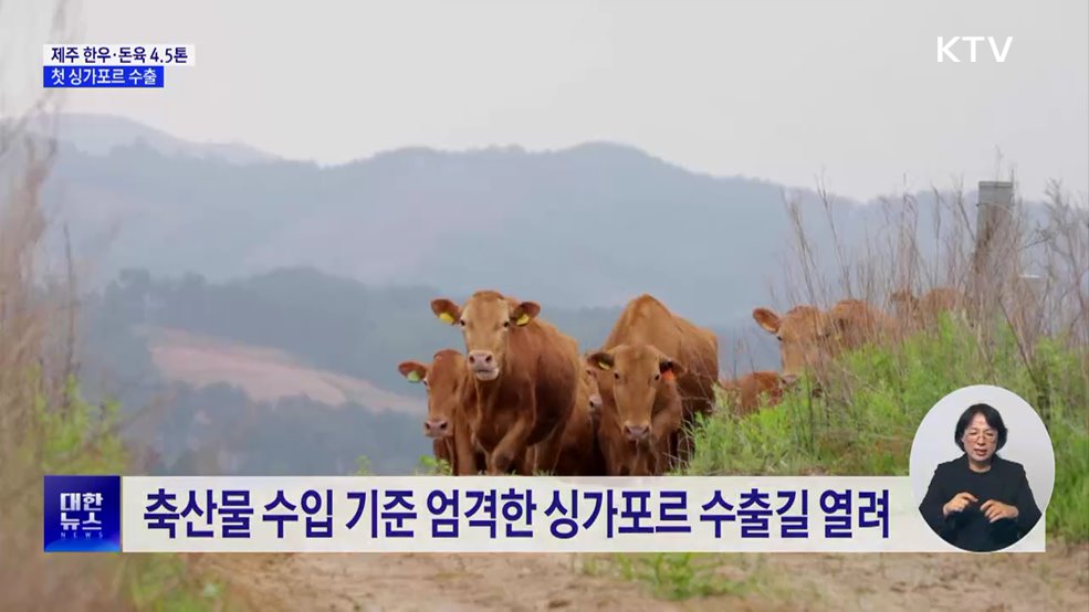 제주 한우·돼지고기, 첫 싱가포르 수출길
