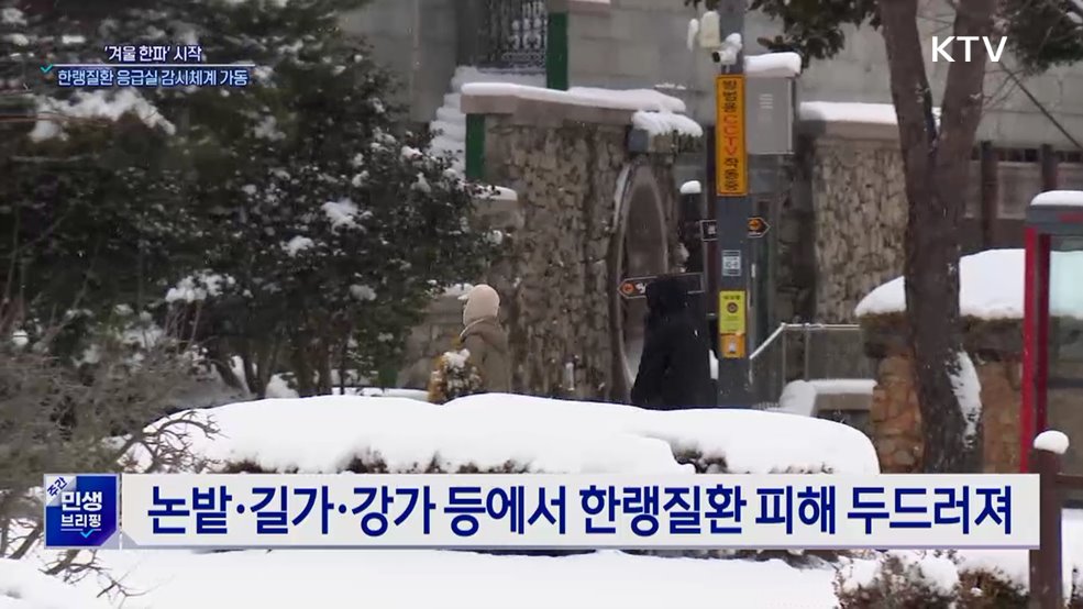 정부, '한파 대비' 한랭질환 응급실 감시체계 운영