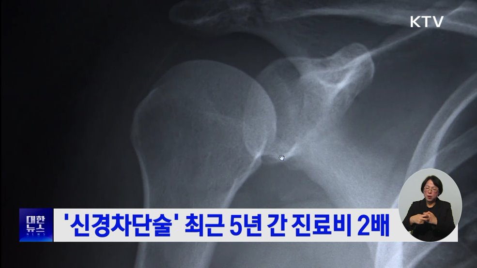 '신경차단술' 최근 5년 간 진료비 2배