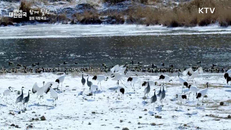 철원 직탕폭포 [함께힐링]
