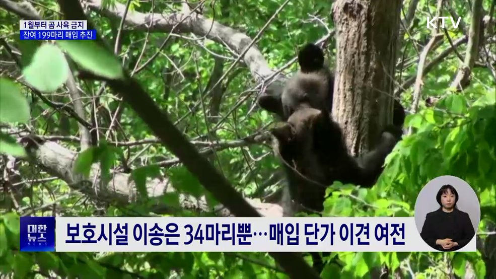 1월부터 곰 사육 전면 금지···199마리 매입 추진