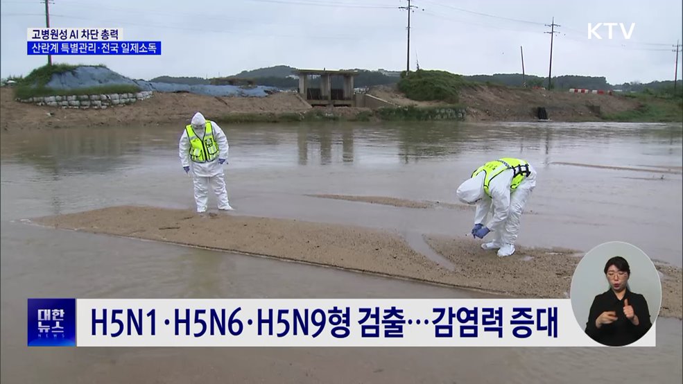 '고병원성 AI' 대응 총력···산란계 2주간 특별관리