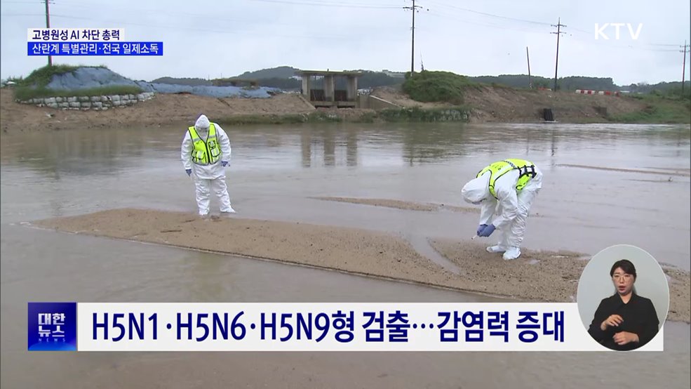 '고병원성 AI' 대응 총력···산란계 2주간 특별관리