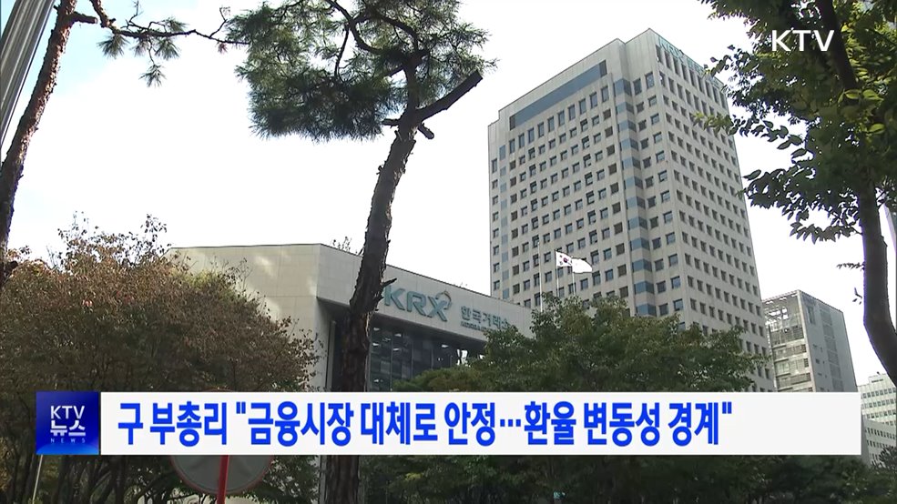 구 부총리 "금융시장 대체로 안정···환율 변동성 경계"