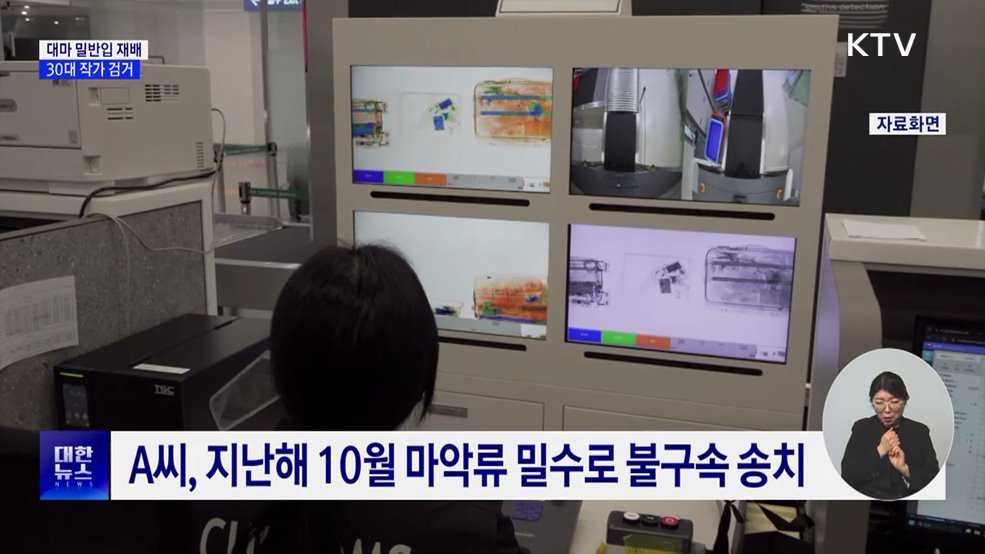 태국서 대마 들여 집에서 재배···30대 작가 검거