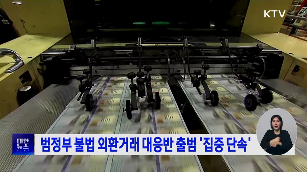 범정부 불법 외환거래 대응반 출범 '집중 단속'